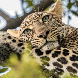 vacanze in kenya