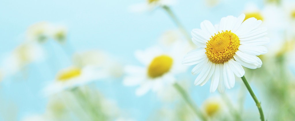 trovare la felicità