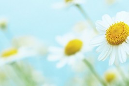 trovare la felicità