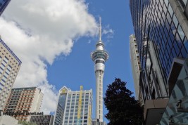 vivere in nuova zelanda farm