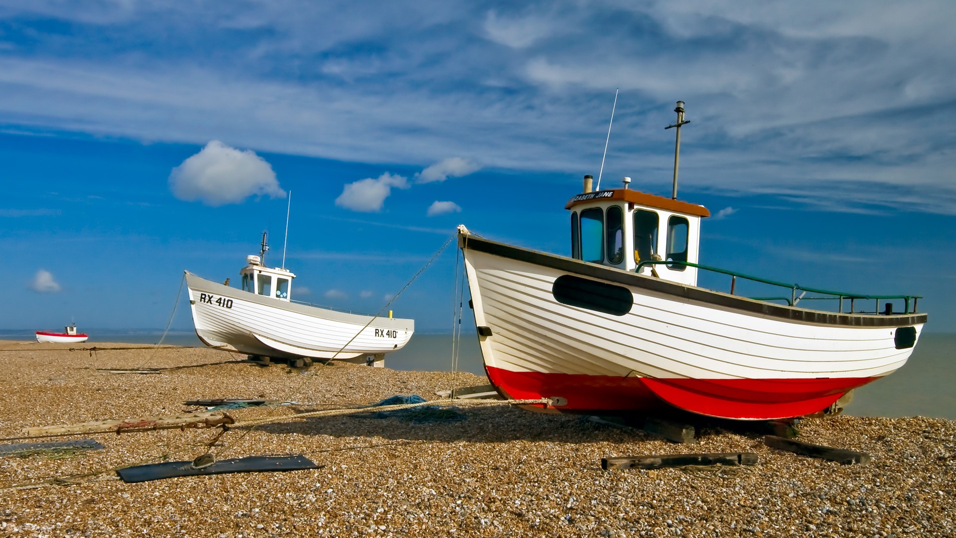 viaggiare in barca con i cani