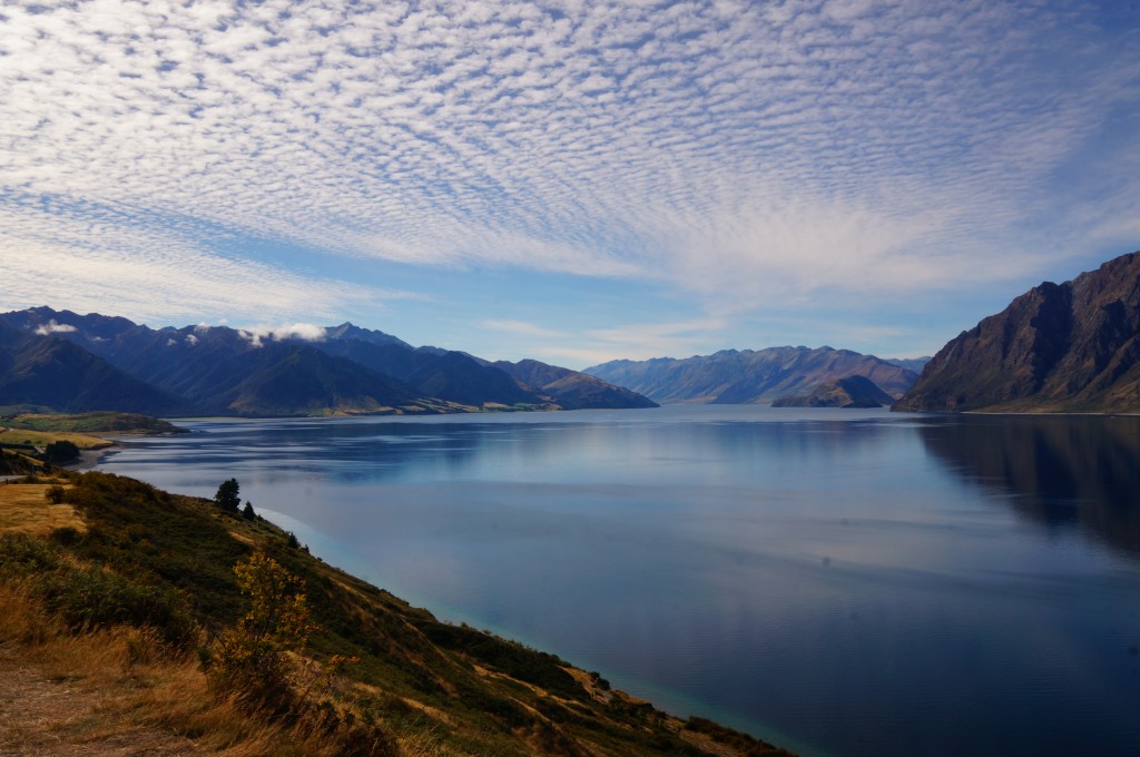 consulenze di viaggio