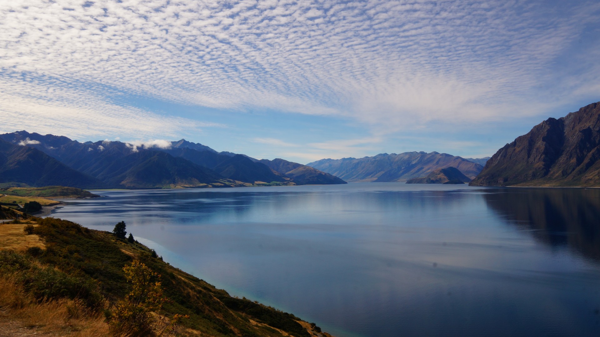consulenze di viaggio