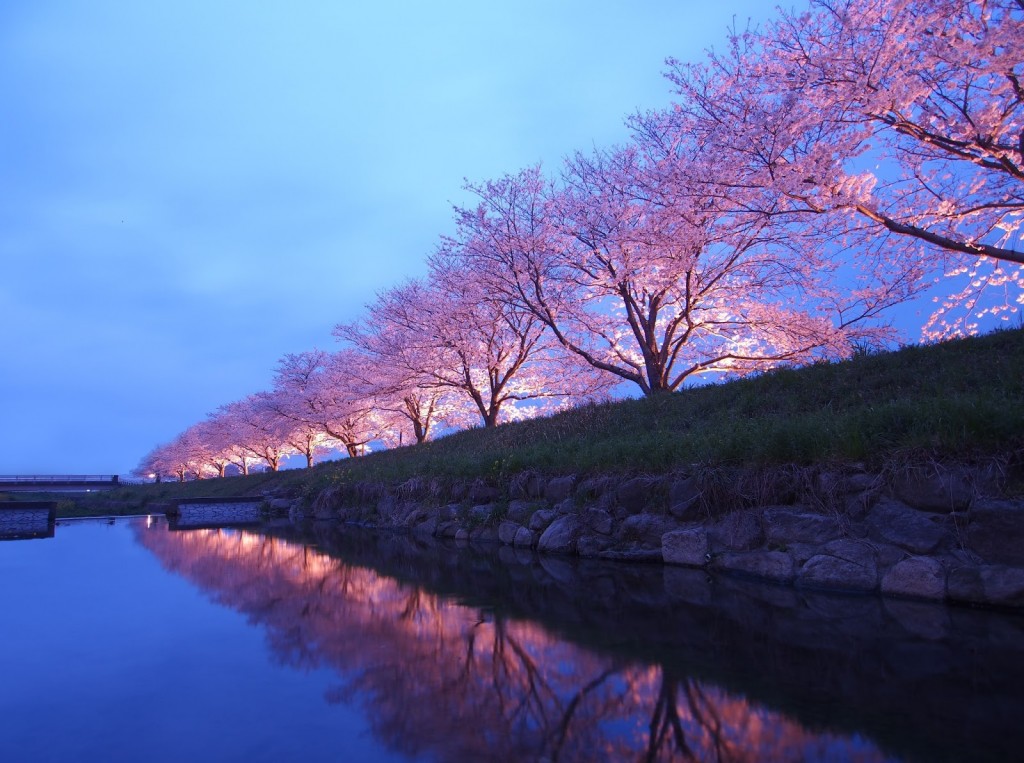 trasferirsi a vivere e lavorare in Giappone