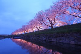 trasferirsi a vivere e lavorare in Giappone