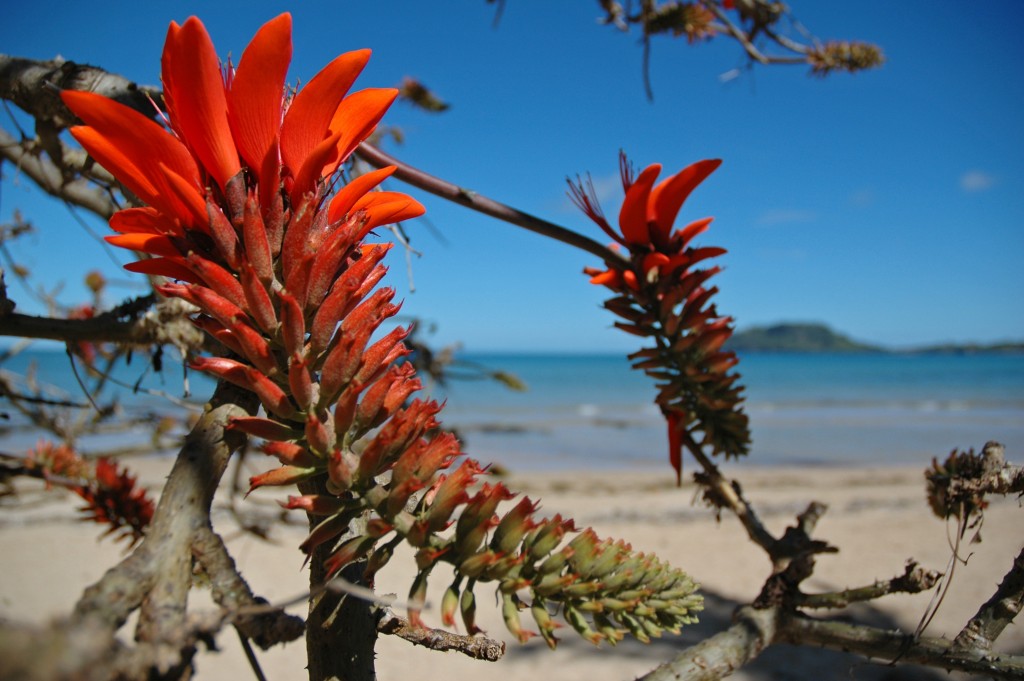 trasferirsi in Madagascar Nosy Be
