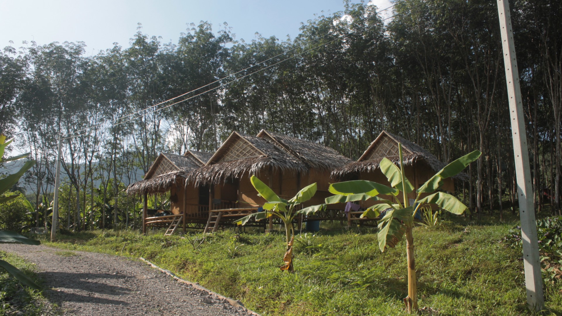 STUDIARE IN THAILANDIA studio