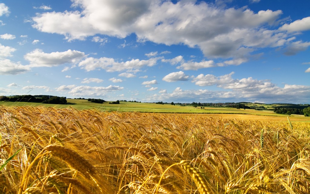 trasferirsi a vivere in campagna