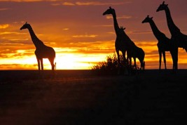 volontariato in Togo