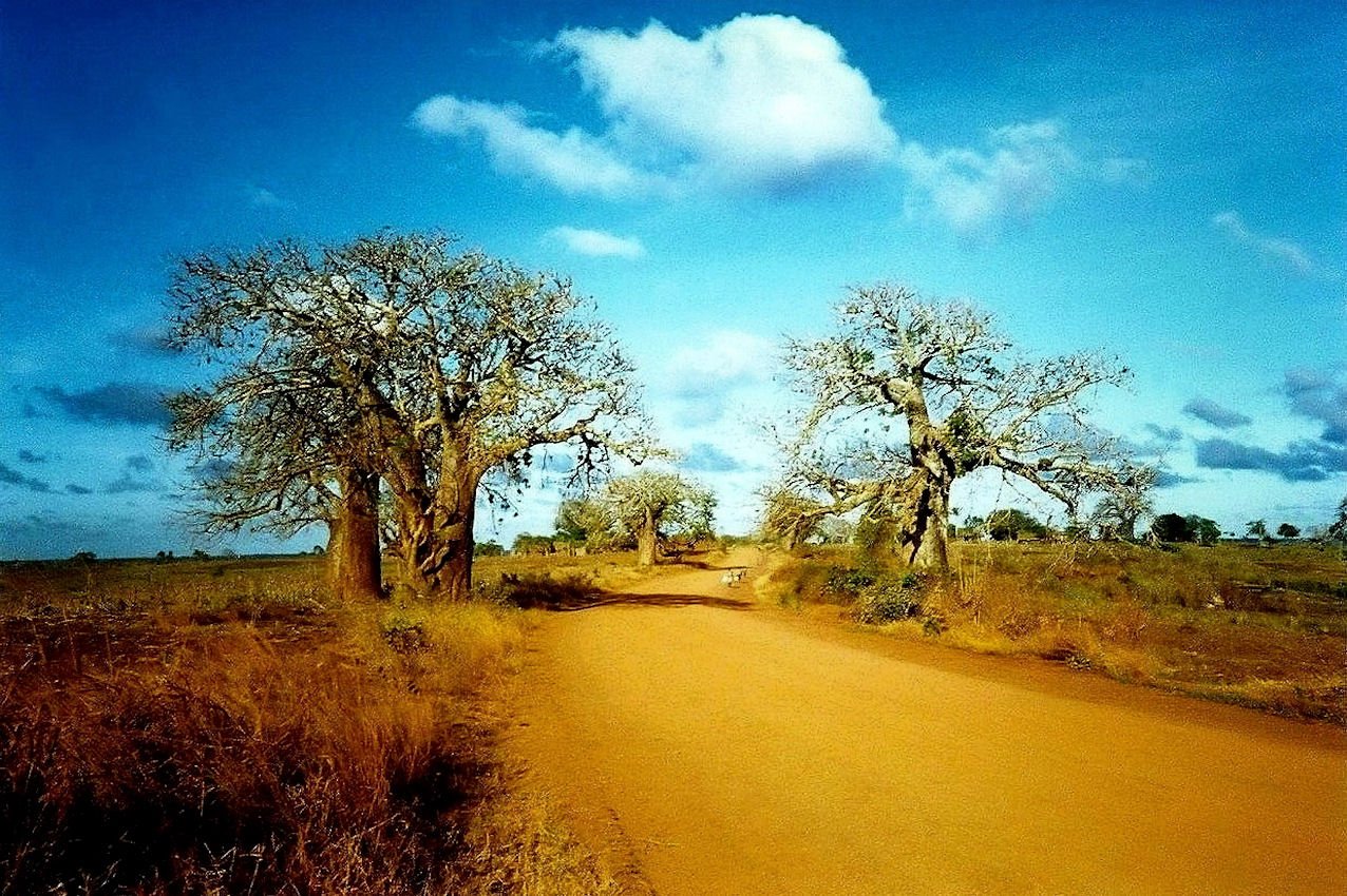 Viaggiare in Africa
