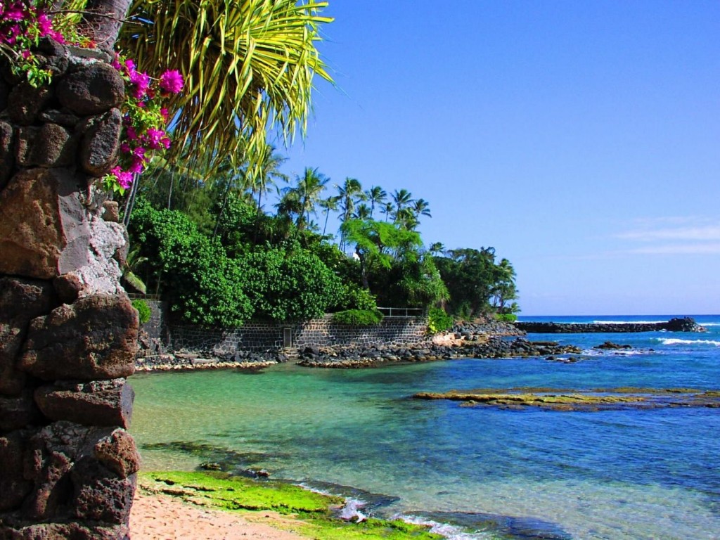 in vacanza alle Hawaii