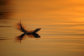 libro sulla leggerezza