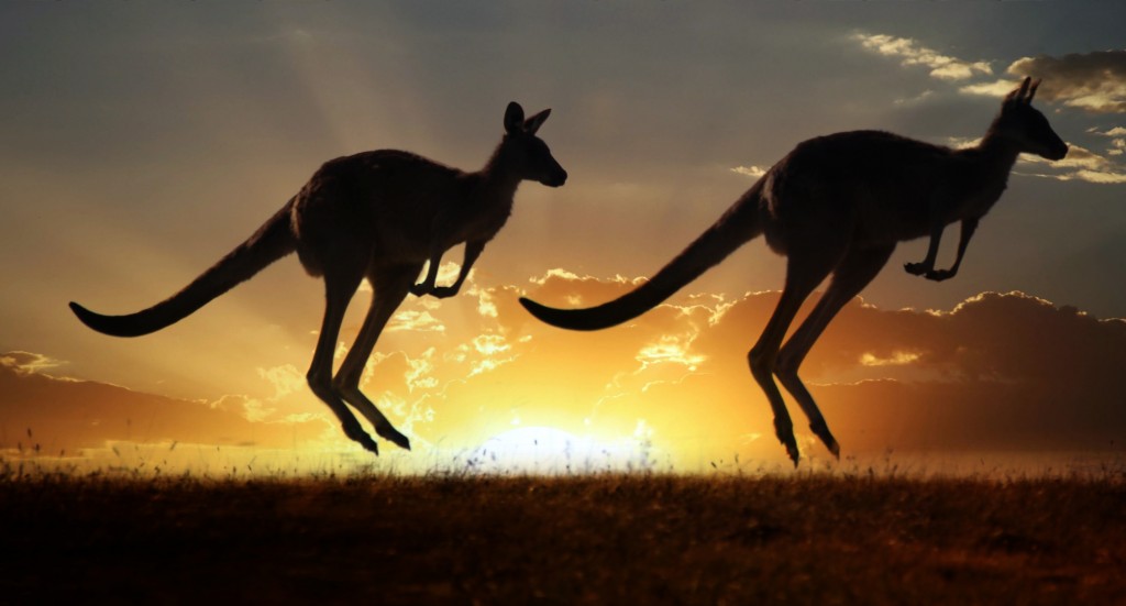 info utili per trasferirsi in Australia
