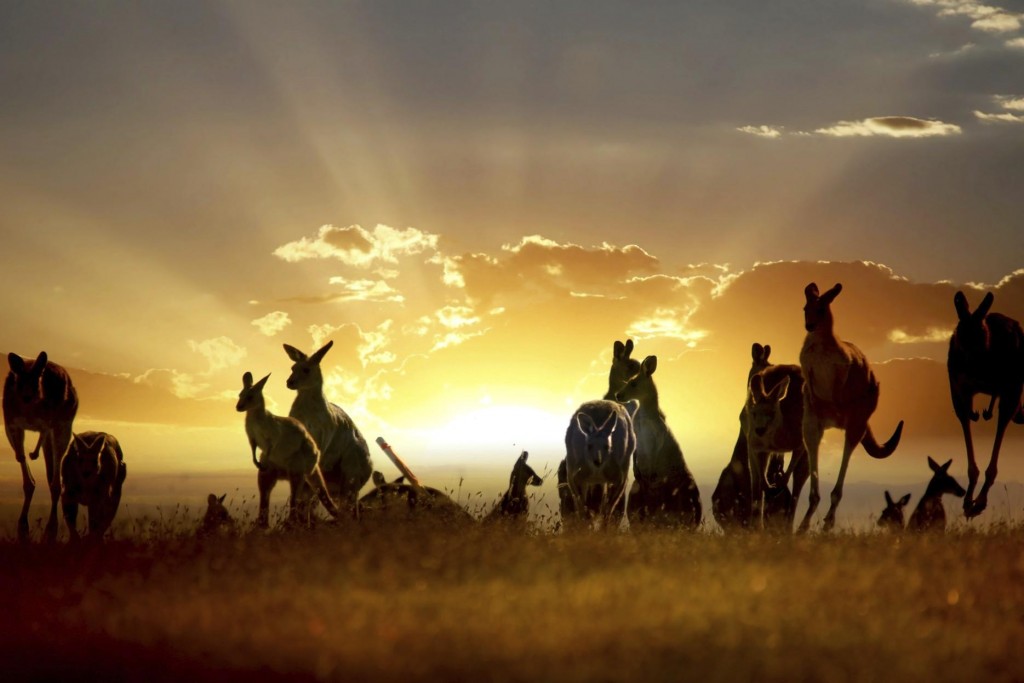 trasferirsi a vivere e lavorare in Australia