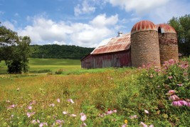 Andare a vivere negli Stati Uniti Wisconsin