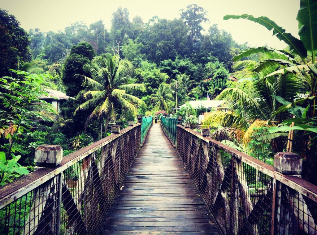 avventure nel borneo malese