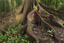 cambiare vita e lavoro