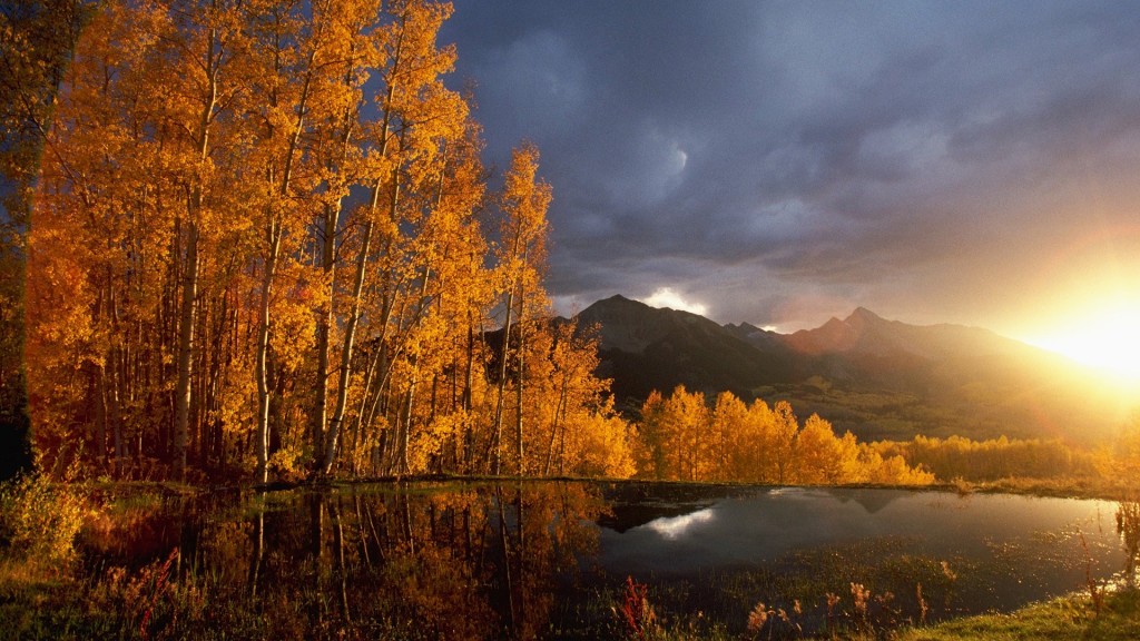 italiani in colorado