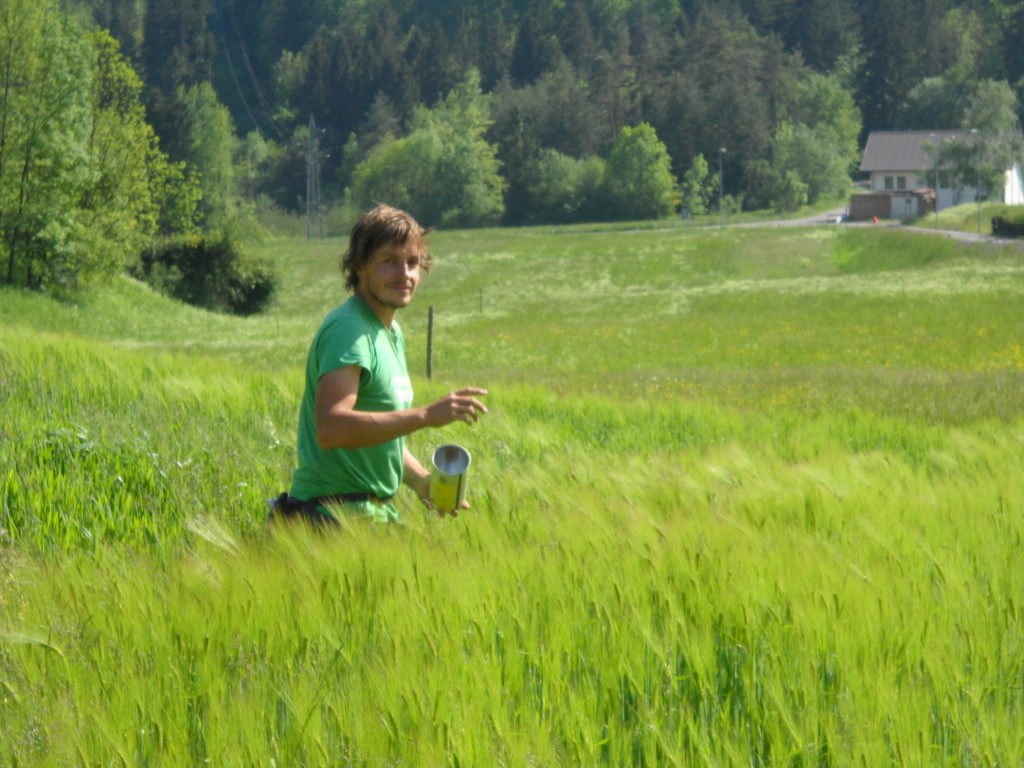 vivere in campagna