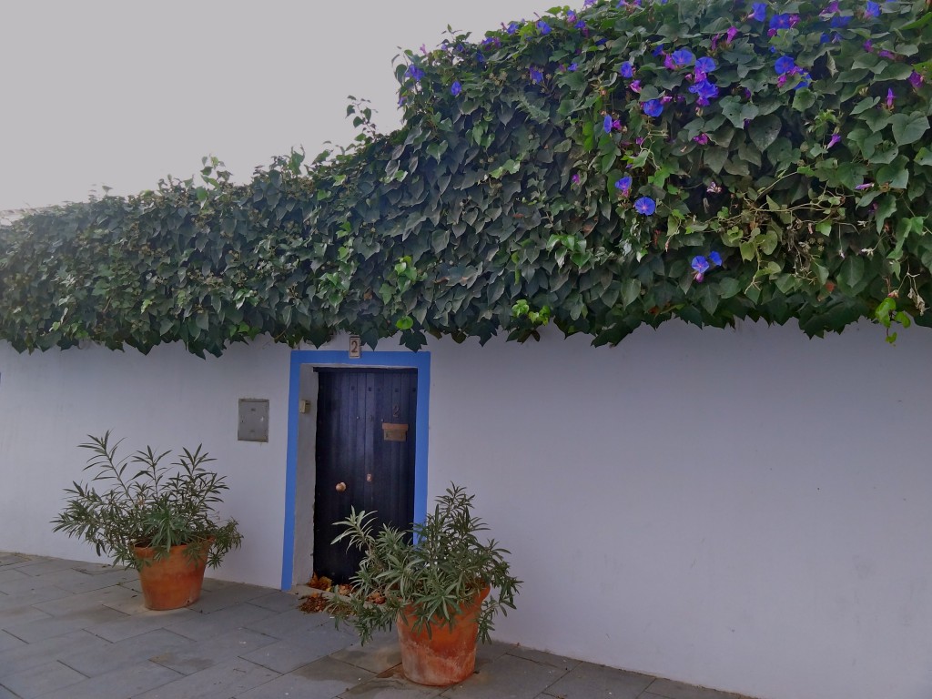 Andare a vivere ad Ibiza