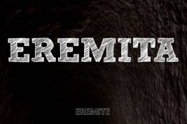 eremita - ponso solitudine