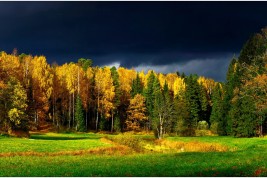 Vivere in Finlandia: intervista con Dona Foa