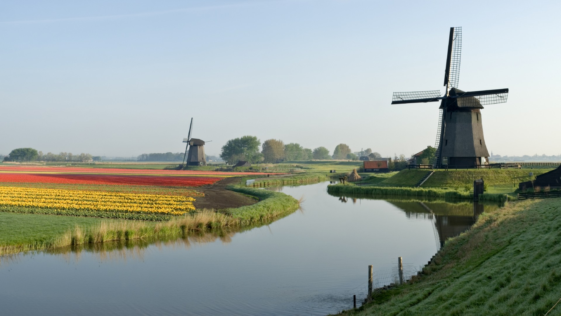 trasferirsi in Olanda