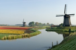 trasferirsi in Olanda