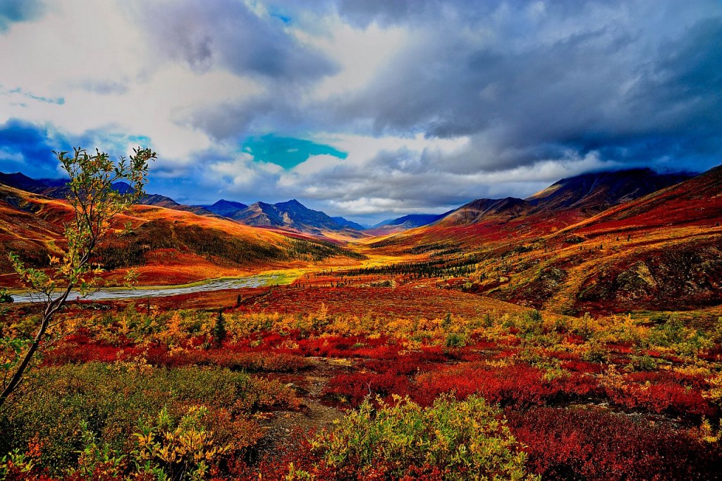 trasferirsi in Quebec Canada