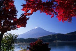 andare a vivere in Giappone