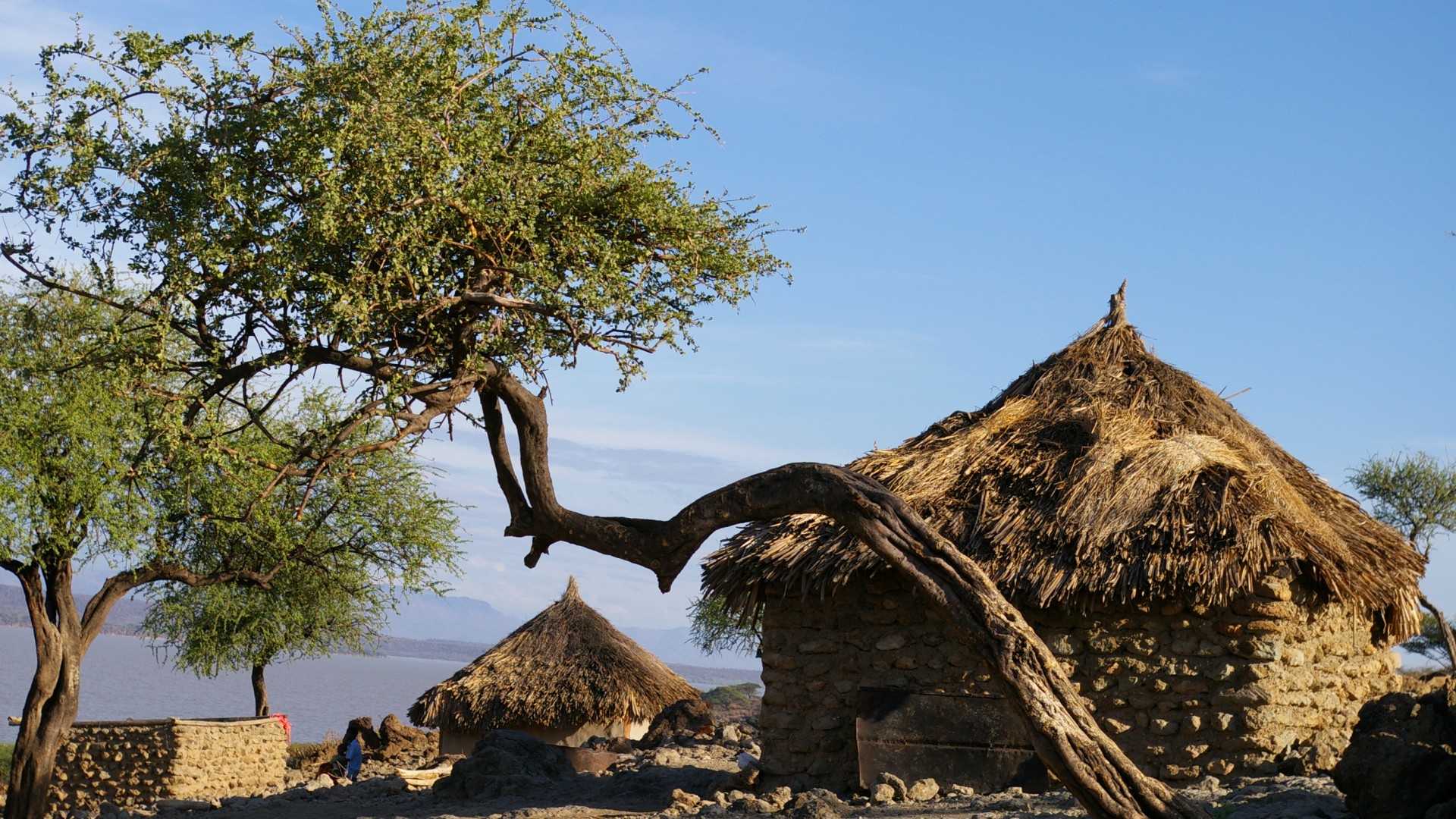 l'alba kenya onlus tossicodipendenza