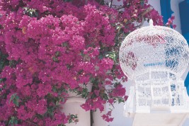 andare a vivere e lavorare in Tunisia