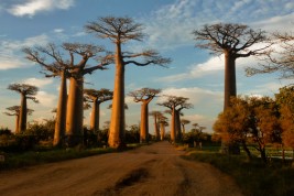 Visitare il Madagascar