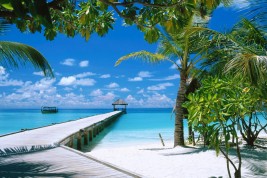 vivere alle maldive