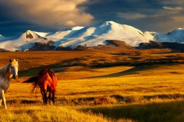 trasferirsi a vivere in Asia Mongolia