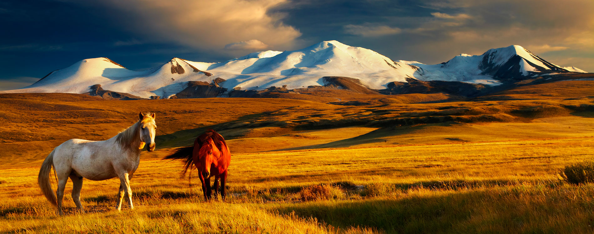 trasferirsi a vivere in Asia Mongolia