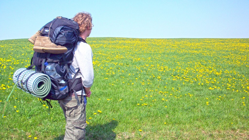 scegliere dove lavorare libro