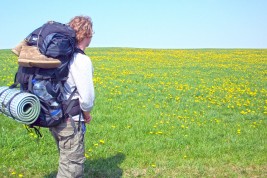 scegliere dove lavorare libro