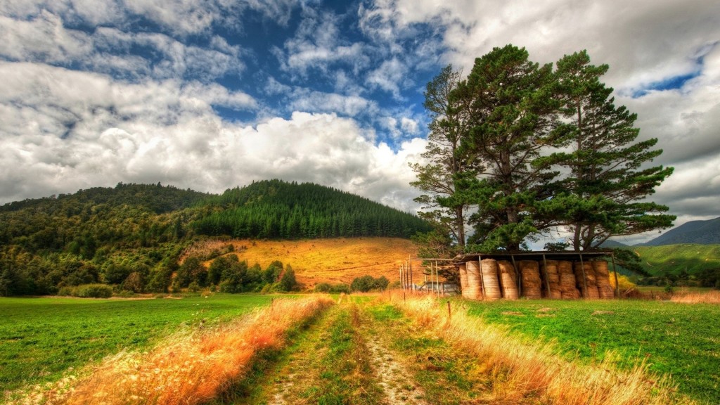 sognando la nuova zelanda