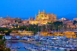 palma di maiorca