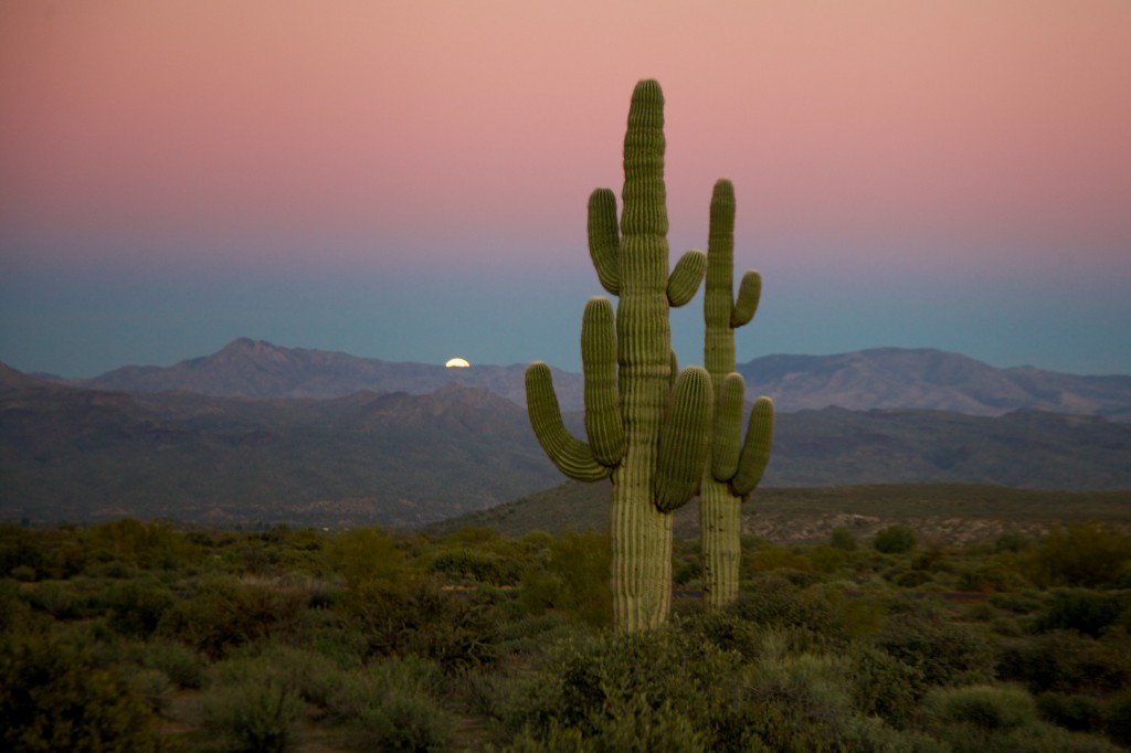 Trasferirdi a vivere e lavorare in Arizona Stati Uniti