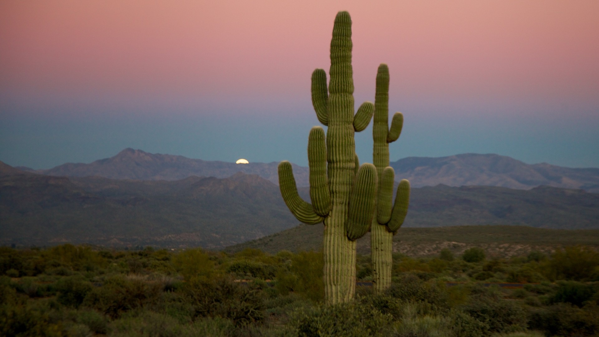 Trasferirdi a vivere e lavorare in Arizona Stati Uniti