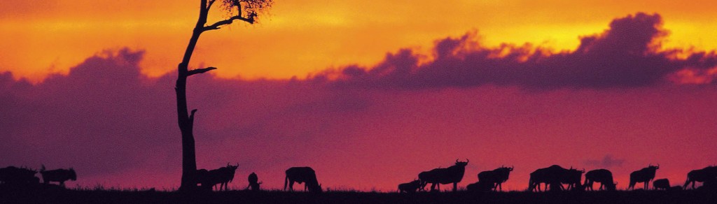 volontariato Kenya