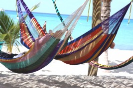 manuale di siestologia siesta