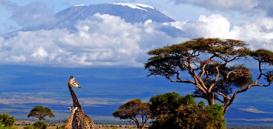 Visitare la Tanzania